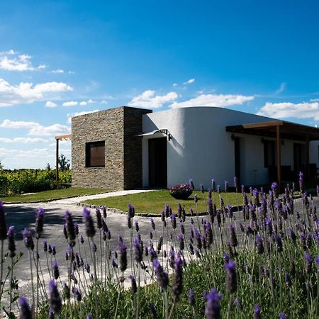 Pizzorno Lodge & Wine Progreso Εξωτερικό φωτογραφία