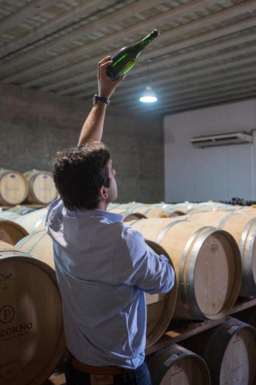 Pizzorno Lodge & Wine Progreso Εξωτερικό φωτογραφία