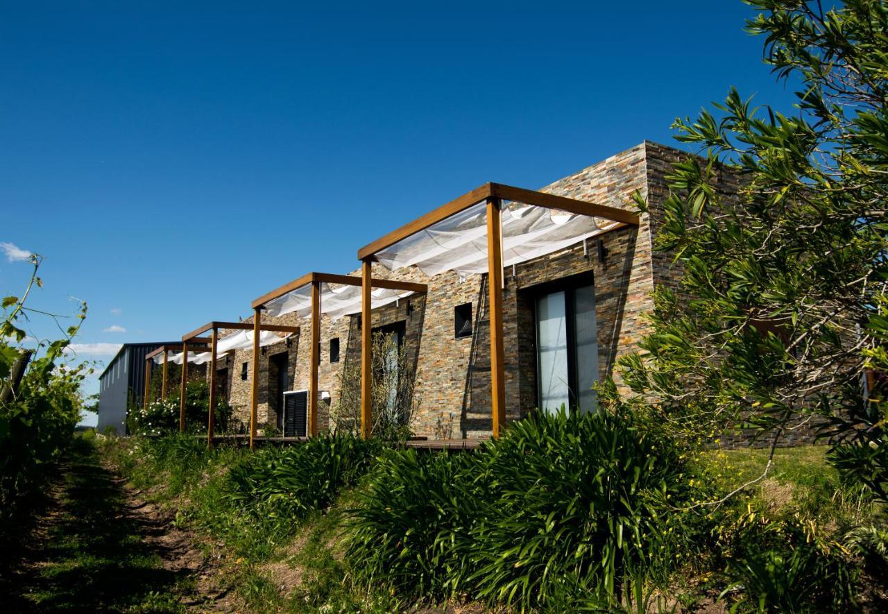 Pizzorno Lodge & Wine Progreso Εξωτερικό φωτογραφία