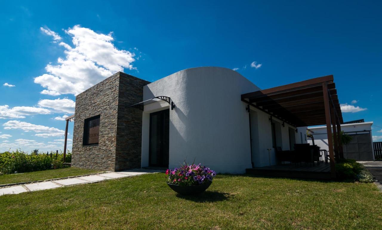 Pizzorno Lodge & Wine Progreso Εξωτερικό φωτογραφία