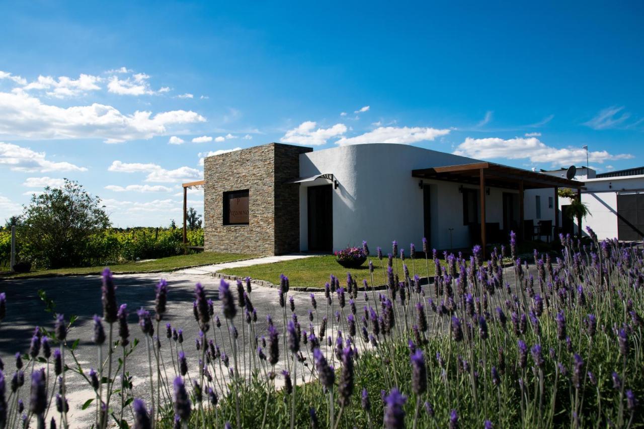Pizzorno Lodge & Wine Progreso Εξωτερικό φωτογραφία